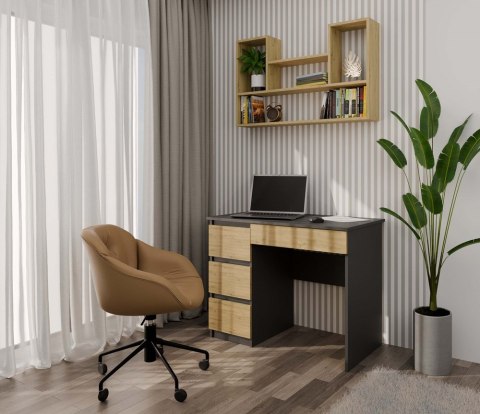 Półka Wisząca Ścienna Na Książki Regał Do Salonu Artisan 100x60x16 Diego 7P