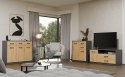 Komoda Szafka 2 Szuflady 2 Drzwi do Salonu Dąb Artisan Antracyt Paloma 2S2D