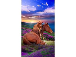 OBRAZ MALOWANIE PO NUMERACH RAMA 40X50CM DWA KONIE - GÓRY