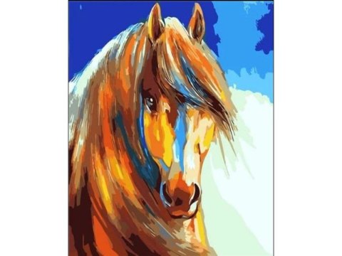 OBRAZ MALOWANIE PO NUMERACH RAMA 40X50CM KOŃ W KOLORZE