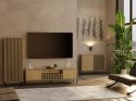Komoda Szafka do salonu Dąb Artisan Lamele Front Ryflowany Tip-on Siena 2D