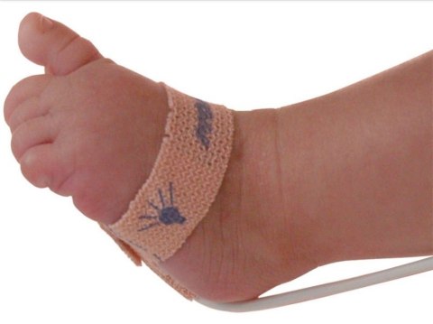 NONIN 6000C-SENSOR DO PULSOKSYMETRU NEONATOLOGICZNY JEDNORAZOWE TKANINY PULSOKSYMETRYCZNE