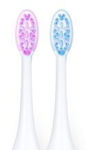 SONICZNA SZCZOTECZKA DO ZĘBÓW FUNKCJA POLEROWANIA VITAMMY AURUM ROSE