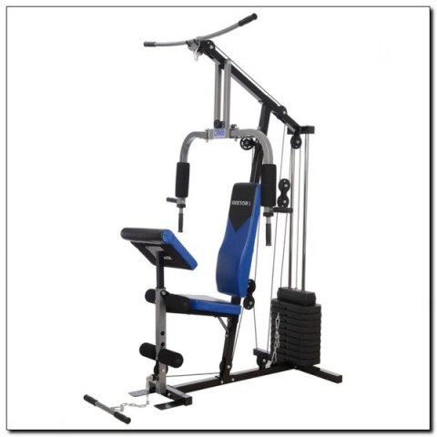 HEKTOR 3 ATLAS 100 LBS (45 KG) ONE FITNESS