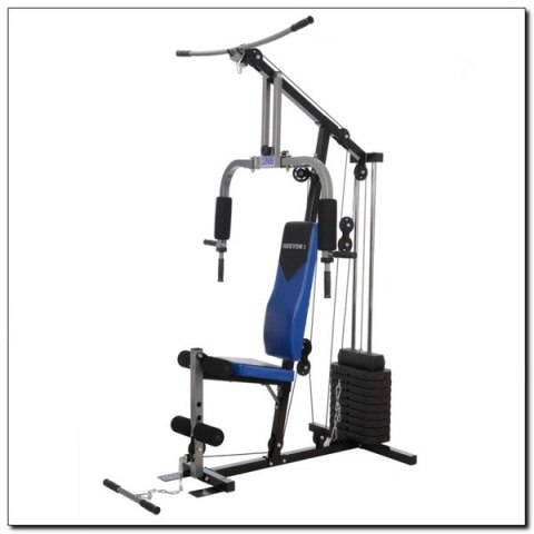 HEKTOR 3 ATLAS 100 LBS (45 KG) ONE FITNESS