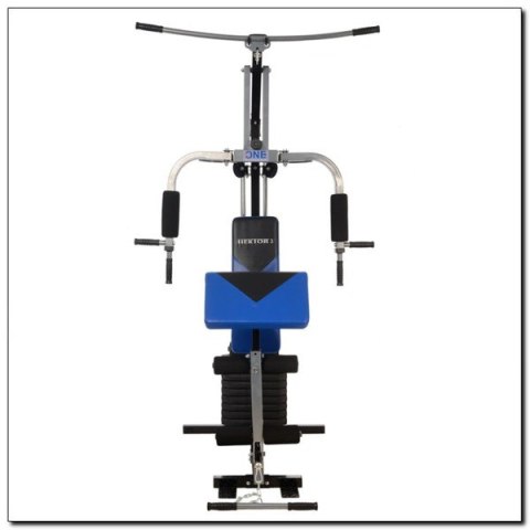 HEKTOR 3 ATLAS 100 LBS (45 KG) ONE FITNESS