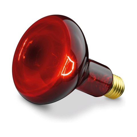 Żarówka 100W (IL 11) BEURER Żarówka 100W (IL 11) Żarówka 100W (IL 11) BEURER Żarówka 100W (IL 11)