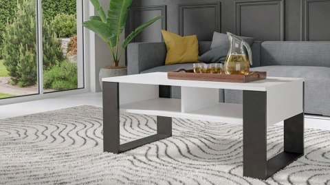 Stolik Kawowy Ława Do Salonu z Półką 90x58x50 Biały Czarny Montana 2BP