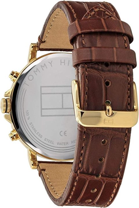 ZEGAREK MĘSKI TOMMY HILFIGER 1791118 (zf066a)