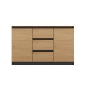 Komoda Szafka z Szufladami 120x75 Do Salonu Antracyt B/F Artisan Lilia 2D3S