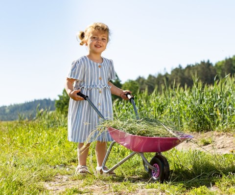 Taczki Taczka Metalowa dla Dzieci udźwig 25 kg Różowa Rolly Toys