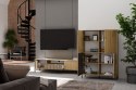 Witryna Szafka regał do salonu Dąb Artisan Lamele Ryflowany Front Siena 4D