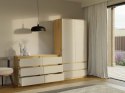 Komoda z szufladami Lilia L6 120 cm Duża Do Salonu Pojemna Artisan Kaszmir