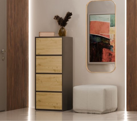 Komoda Szafka 4 Półki Drzwi do salonu Tip-On Antracyt LAMA 50x119x40 cm