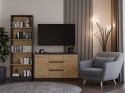 Komoda Szafka z Szufladami 120x75x40 Do Salonu Antracyt Artisan Lilia 2D3S