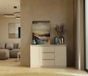 Komoda Szafka z Szufladami 120x75x40 cm Do Salonu Duża Kaszmir Lilia 2D3S