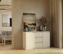 Komoda Szafka z Szufladami 120x75x40 cm Do Salonu Duża Kaszmir Lilia 2D3S