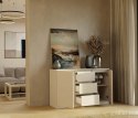 Komoda Szafka z Szufladami 120x75x40 cm Do Salonu Duża Kaszmir Lilia 2D3S