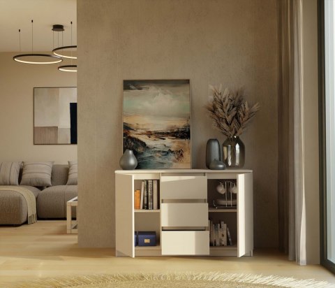 Komoda Szafka z Szufladami 120x75x40 cm Do Salonu Duża Kaszmir Lilia 2D3S
