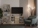 Komoda Szafka z Szufladami 120x75x40 cm Do Salonu Duża Sonoma Lilia 2D3S