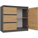 Komoda Szafka z Szufladami Antracyt Artisan do Salonu 80x75x40 Lilia 1D3S